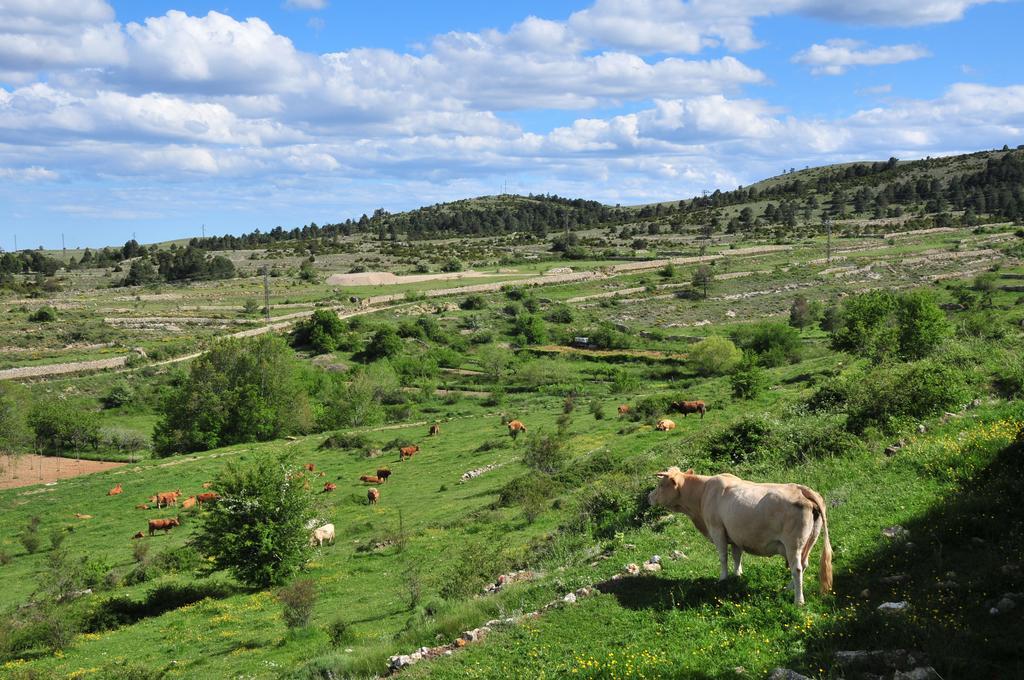 Casa Rural El Boixar - El Mirador Bojar Exteriör bild