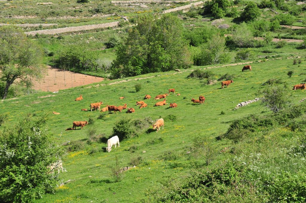 Casa Rural El Boixar - El Mirador Bojar Exteriör bild